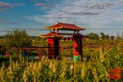 20160711_055645