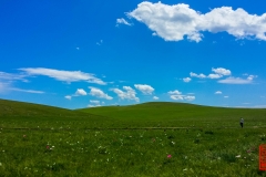 20160703_130129