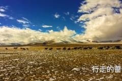 20161012_115647