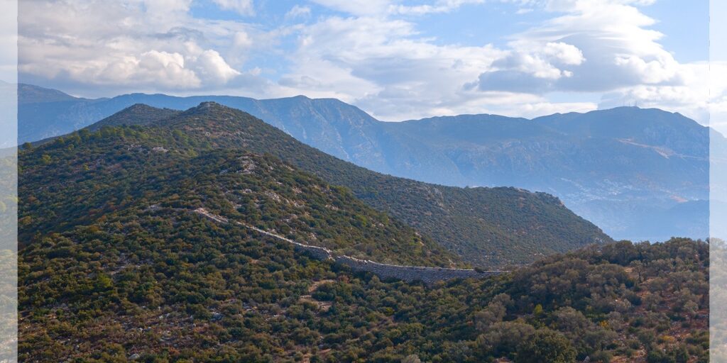 Patara